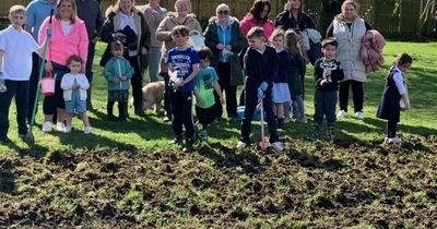 Friends of Dunedin plan to spruce up tired 50-year-old Lanarkshire play park