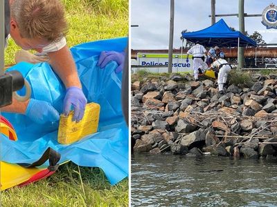 Mystery dead diver found near port cocaine