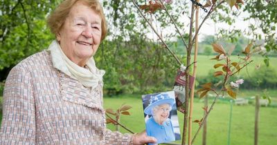 Tree planted in field former councillor saved from development as she turns 100