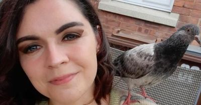Nottingham woman makes unlikely friend after rescuing pigeon in beer garden