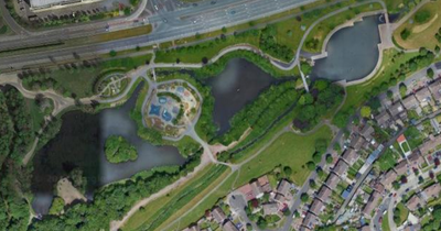 Attack in Dublin park leaves man in hospital