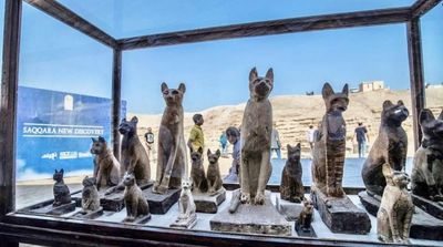 Luxor’s Mummification Museum Documents 25 Years of Pharaonic Secrets