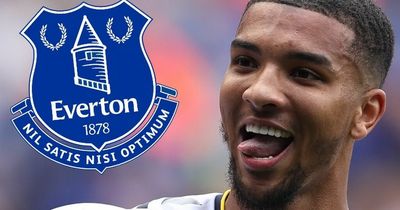 EXCLUSIVE: Mason Holgate reveals Everton dressing room reaction to fan campaign