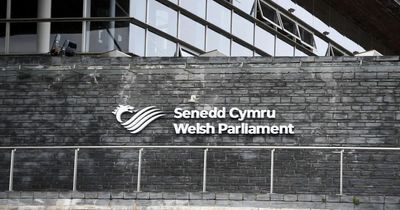 An extra 36 new Senedd Members are to be created as Wales' Parliament grows