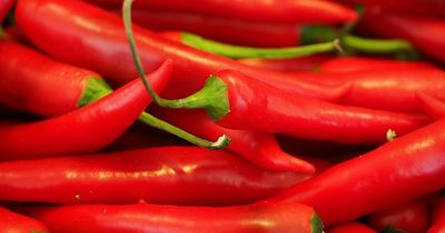 Chillis could hold cure for cancer if we can get over heat, say scientists