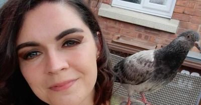 Woman befriends pigeon in pub beer garden - then takes it home with her