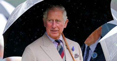 Prince Charles is now 'de facto Prince Regent' with State opening of Parliament