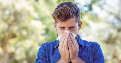 Five ways to treat hayfever without medication