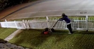 Thoughtful burglar breaks into family home, grabs lawnmower and cuts all their grass