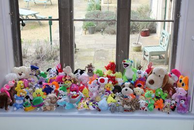 Furry Friends: OAP Pair Won 375 Cuddly Toys And Now Have No Space For Them At Home