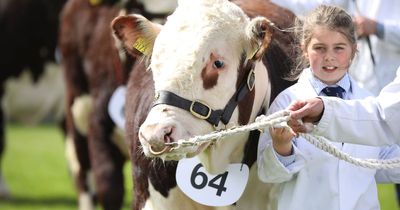 Balmoral Show 2023 dates, opening times, traffic and travel advice, parking and more