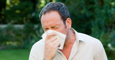 Ways to reduce hayfever symptoms without medication as 'supplies dwindle'