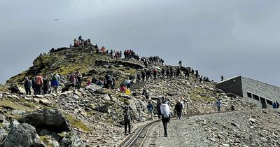 Long queues form at the summit of Snowdon in 'one of the busiest' ever weekends