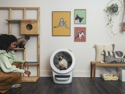 Company Behind First 'Connected Litter Box' Launches Newest Self-Cleaning Unit
