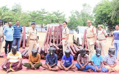 Red sanders logs worth ₹3 cr. seized on Chittoor-Bengaluru NH