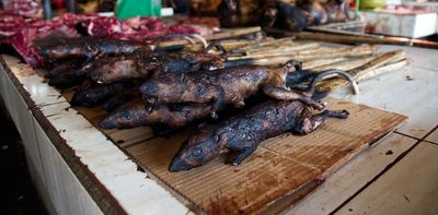 Banning wild meat is not the solution to reducing future disease outbreaks