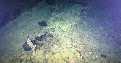 Mysterious yellow brick road is discovered at the bottom of the ocean