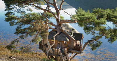Luxury hotel in west of Scotland voted 4th best in UK at TripAdvisor awards
