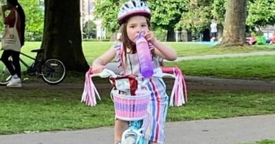 Girl,4, 'desperately upset' after bike stolen from car overnight