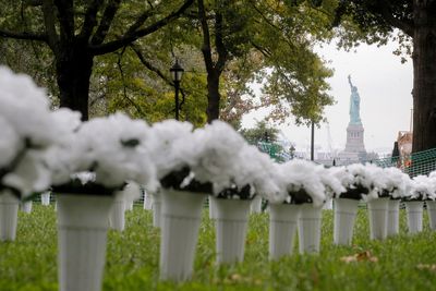 US firearm homicides hit highest rate in decades in 2020: CDC