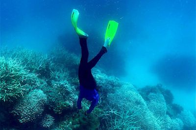 ‘Devastating’: 91% of reefs surveyed on Great Barrier Reef affected by coral bleaching in 2022