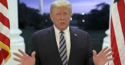 Elon Musk to allow Donald Trump back on Twitter after promising 'massive change'