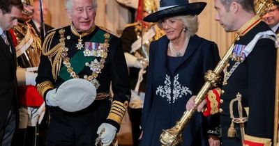 Prince Charles' complaint to Camilla at State Opening of Parliament confirmed by lip reader