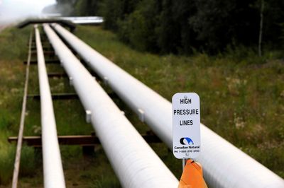 Alberta court rules Canada's environmental impact law is unconstitutional