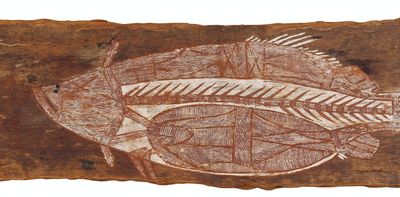 Paddy Compass Namadbara: for the first time, we can name an artist who created bark paintings in Arnhem Land in the 1910s