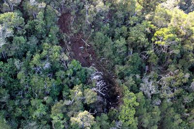 Hawaii helicopter crash that killed 7 was '100% preventable'