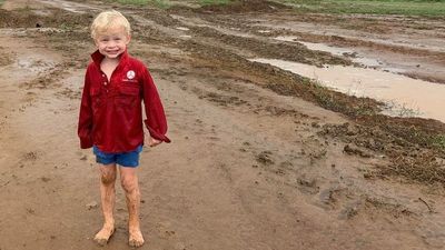 Western Queensland weather brings off-season rain as graziers relish drenching