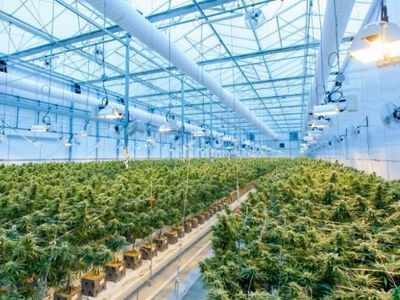 Hydrofarm Holdings Announces Q1 Revenue Increases 1% Sequentially To $111.4M