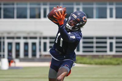 Fantasy football team previews: NFC North