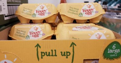 Struggling farmers warn of egg shortages as costs soar