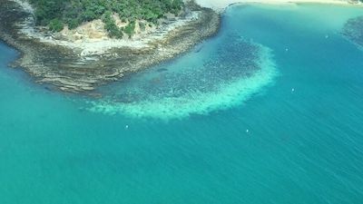 Great Barrier Reef bleaching occurred on over 90 per cent of reefs this summer, report reveals