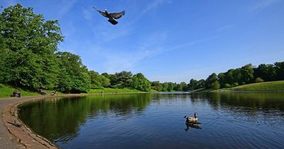 Which is the best park in Merseyside? Have your say