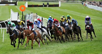 Horse racing tips plus best bets for York, Newton Abbot, Worcester, Bath, Perth and Gowran Park