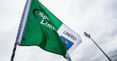 Limerick hurler arrested after alleged headbutt on Tipperary rival in pub brawl