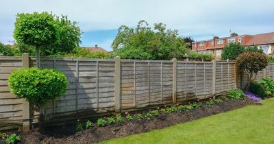 Mum left furious as neighbours 'breach my privacy by peering over my fence to talk'