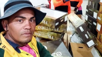 Fruit picker told to expect jail after being filmed beating cat to death