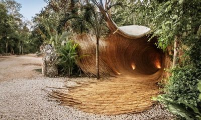 Welcome to the jungle: inside Mexico’s groundbreaking natural art gallery
