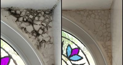 I tried the 'miracle' mould removing spray loved by Mrs Hinch fans and it's transformed my bathroom