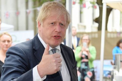 Calls for Boris Johnson to quit over ‘partygate’ are ‘bonkeroony’ says Gove