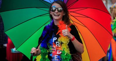 Fingal LGBTQ+ Pride event taking place at Swords Castle this summer