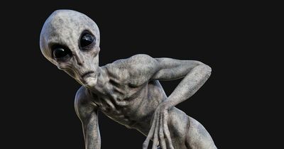 Alien 'greys' created using DNA from abducted humans, UFO expert claims