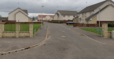 Schoolboy, 10, left shaken after being attacked in Grangemouth street