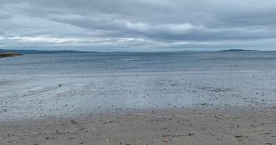 Edinburgh wild swimmers issued warning as popular beach could be 'unsuitable'