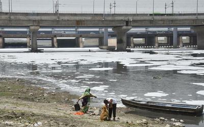 Possible to clean Yamuna to bathing standards by 2025: Experts