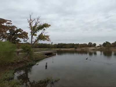 9-foot alligator found ‘hundreds of miles’ from natural habitat euthanised by Oklahoma authorities