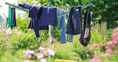 Hay fever expert explains how laundry habits can make allergy symptoms worse